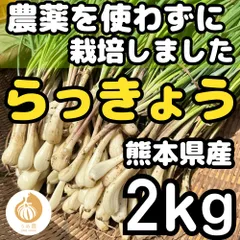2025年最新】らっきょう 無農薬の人気アイテム - メルカリ