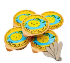 因島産 はっさくシャーベット 75g×5個 ＋ シャーベット用木べら5個(個包装)  八朔 来客用 ご家庭用 国産 広島のサムネイル