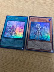 メルカリshop 30%還元セール中遊戯王水使いアラメシア