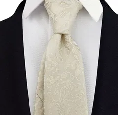 ネクタイ 結婚式 発表会　卒業式　卒園式　入社式　入学式　成人式　七五三　お祝い　クリスマス　ダンスパーティー　バーテンダー　ビジネス　パーティー　イベント　　　ペイズリー柄　シルバー　銀色 ホワイト ワイシャツ スーツ 格安 小物 メンズネクタイ