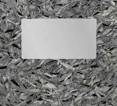 ▶︎新品 THE NOVEMBERS Before Today 完全生産限定盤 Amazon.co.jp: Before Today(Limited Edition)(完全生産限定盤