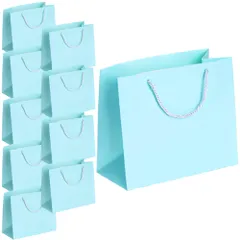 merrytime ギフトバッグ 紙袋 ラッピング 手提げ 厚手 横型 10点セット 手提げ袋 紙製バッグ ギフト包装 プレゼント袋 ショップバッグ 記念品 ノベルティ 販促品 手提げバッグ スカイブルー Mサイズ [スカイブルー Mサイズ 10枚]