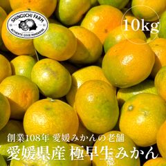 愛媛みかんの老舗厳選 極早生 みかん 10kg【送料無料】農家直送 創業108年 新口農園