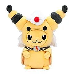 ポケモン　ぬいぐるみ　メガデンリュウ　ポンチョ ポケモンセンター ぬいぐるみ メガデンリュウ ピカチュウ