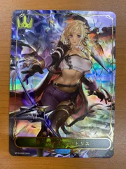 シャドウバースエボルヴ　第八の絶傑・オクトリス　リーダーカード シャドバ 第八の絶傑・オクトリス リーダーカード - メルカリ