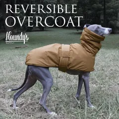 超レトロ 新品 イタリアグレーハウンド サイズが大きい 超レトロ 新品 イタリアグレーハウンド サイズが大きい 超レトロ 新品