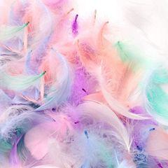 Item thumbnail for item d63c527d-e0fb-42ca-b10e-ff7fbea2e01f