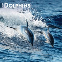 【輸入版】2024年 世界のイルカ カレンダー / ブラウントラウト 30.5 x 61 cm (Dolphins  Calendar)
