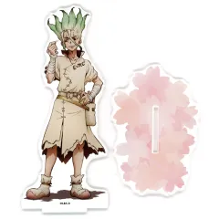 【中古】アクリルスタンド・アクリルパネル 石神千空(桜) 描き下ろしBIGアクリルスタンド 「Dr.STONE」