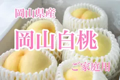 岡山県産　おかやま白桃　約1.5キロ　5〜7個入　家庭用のサムネイル