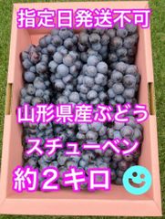 🍇山形県産ぶどう スチューベン約２キロ🍇