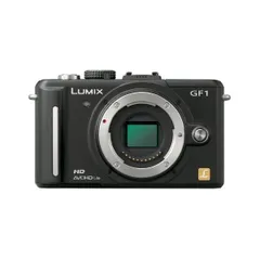 2025年最新】lumix dmc-gf1ボディの人気アイテム - メルカリ