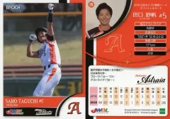 田中露朝と坂東瑞紀の完全投球や楢岡美和の6打点などで