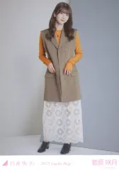 【中古】生写真(乃木坂46) 菅原咲月/全身/2025 福袋 Lucky Bag 「カレンダー衣装」