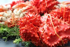 （令和5年新物）前浜花咲ガニ2~4尾で2kg前後