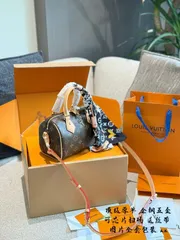 【今日特価】LV Speedy 20 Pillow Bag 2025 New Model