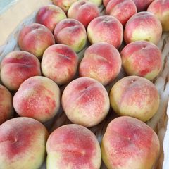 ふくしまの桃🍑　訳あり　５キロ箱×２　翌日着の地域のみ