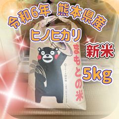 新米　ヒノヒカリ5Kg  令和6年熊本県産