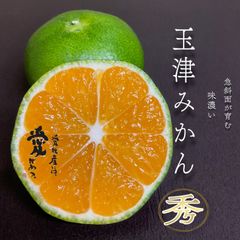愛媛産　玉津みかん　上野早生　秀品10kg