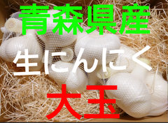 予約商品　産地直送　大玉　生にんにく　１０きろ　青森県産にんにく　福地ホワイト　６月中旬頃からの発送