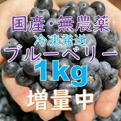 国産　ブルーベリー 　1kg 　(冷凍)　農薬不使用