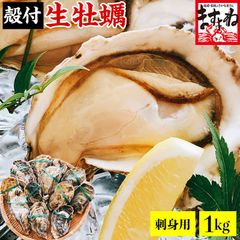 かき カキ 牡蠣【お刺身OK】 殻付き生牡蠣(冷凍) 1kg前後(12粒入) 兵庫県室津産 ※高圧処理済みで、殻は簡単に開きます。