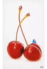 【中古】キャラカード さくらんぼ 「パペットスンスン コレクションスマロイド」