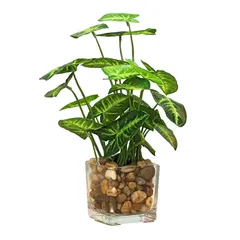 【新品】 ENN LLC インテリア用フェイクグリーン 常緑樹風 造花 観葉植物 (里芋の葉)