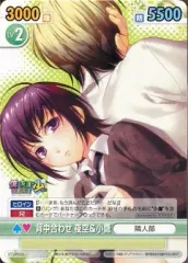 【中古】ヴィクトリースパーク BTS/PD05[PR]：背中合わせ 夜空＆小鷹
