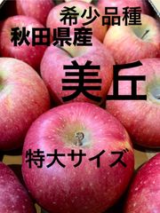 希少品種！秋田県産りんご　美丘　特大約5キロ
