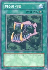 2025年最新】猛獣の歯の人気アイテム - メルカリ