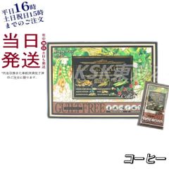 エステプロラボ プロテイン ナチュラグランプロ  20袋 コーヒー 母の日