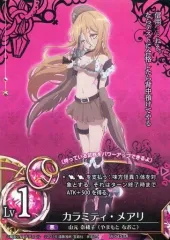 魔法少女ザ・デュエル　グロウ・デザイア　psa10 brg10 魔法少女ザ・デュエル グロウ・デザイア psa10 brg10