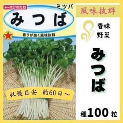 【野菜の種】香味野菜「みつば」種１００～香りが強く風味抜群