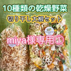 【miya様専用①】10種類の乾燥野菜100gと切り干し大根50g