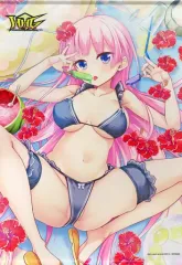 【中古】タペストリー サリー・霧宮 描き下ろしB2タペストリー 「Switchソフト HHG 女神の終焉 初回限定版/ダブルパック」 ソフマップ購入特典