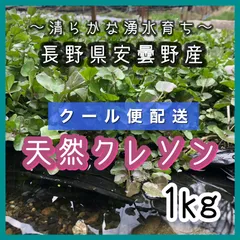 クール便湧き水育ちクレソン5-6キロ目安湧き水育ち