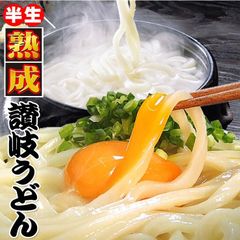 激ウマ 讃岐 熟成 半生 完熟 並切麺 6～8食 便利な個包装 750g 送料無料　NT33R