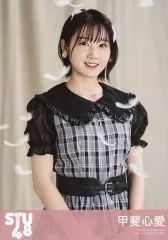 STU48 甲斐心愛　月別　生写真 コンプx29 まとめ STU48 甲斐心愛 月別 生写真 コンプx29 まとめ STU48 甲斐心愛