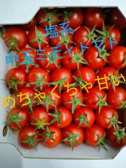 中玉ミディトマト　1㌔入り