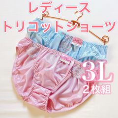 レディーストリコットショーツ【3L】2枚組　光沢　デイリーショーツ　フルバック
