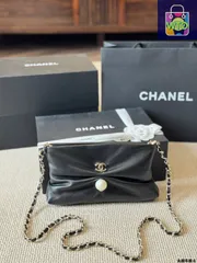 【今日WTO】Chanel 25SS ハンドホールディング ディナーバッグ-WTO輸入2-JPL09
