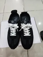 フリムスのドイツ軍 ( 260 ）