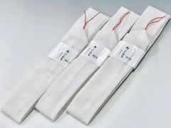 Item thumbnail for item 2061a825-1e64-4804-bed4-a3dad6395301