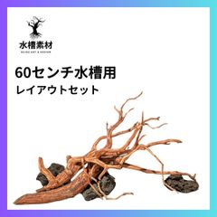 流木 60センチ水槽レイアウトセット アクアリウム用 流木・インテリア用流木
