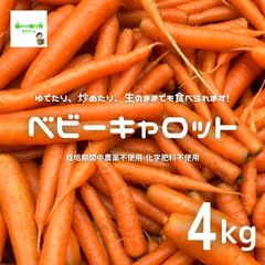 ベビーキャロット（ミニにんじん、ミニ人参）　約４kg　☆農薬や化学肥料は使っておりません　※サイズ混合