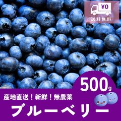 限定販売 農家直売（ハウス栽培）新鮮ブルーベリー 1kg - メルカリ