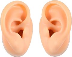 Item thumbnail for item 56a30f33-08f9-4bb8-b1cf-f03f3b27d6c7