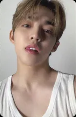 SEVENTEEN 17 IS RIGHT HERE S.COUPS トレーディングカード DEAR