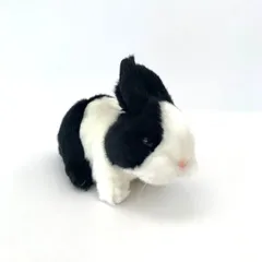 ウサギ ぬいぐるみ ブラック